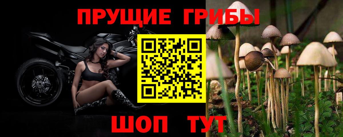 Псилоцибиновые грибы Psilocybe  Галлюциногенные грибы Cubensis  Нововоронеж  Вход с VPN 